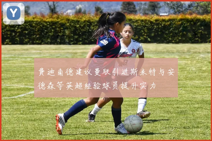 费迪南德建议曼联引进斯米特与安德森等英超经验球员提升实力